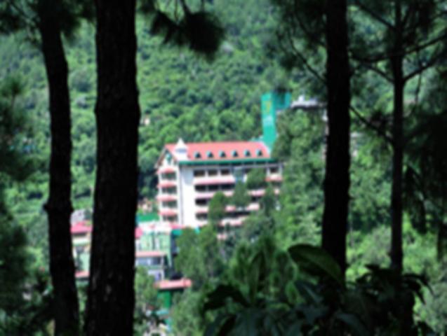 Baba Resorts Dharampur Dharampur  Eksteriør billede